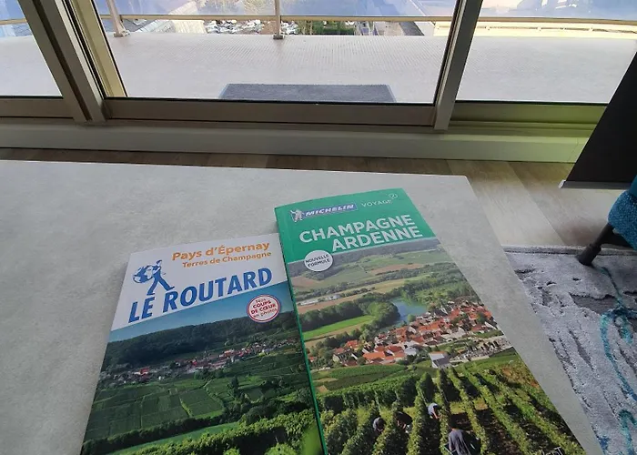 Lägenhet L'epopee Panoramique - Parking - Avenue De Champagne - Épernay